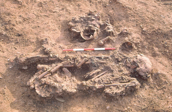 Sốc với "người đẹp" 4.500 tuổi mang theo xương người khác vào mộ - 1
