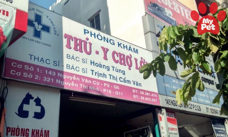 Các địa chỉ bệnh viện thú y quận 11 – TP Hồ Chí Minh