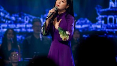 Đinh Hiền Anh làm đêm nhạc quyên góp cho gia đình trong vụ sạt lở tại Huế - 1