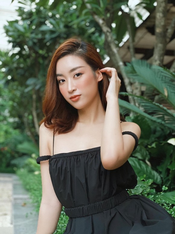 Đỗ Mỹ Linh, Hoa hậu Đỗ Mỹ Linh, sao Việt