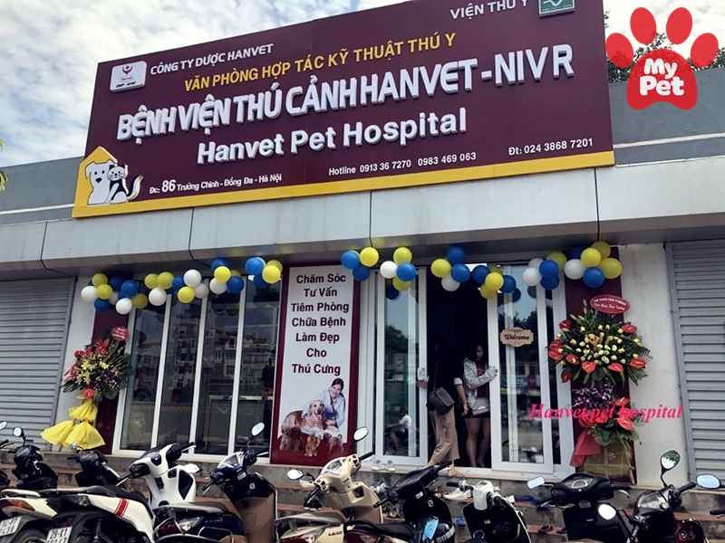 6 địa chỉ bệnh viện thú y quận Đống Đa – Hà Nội