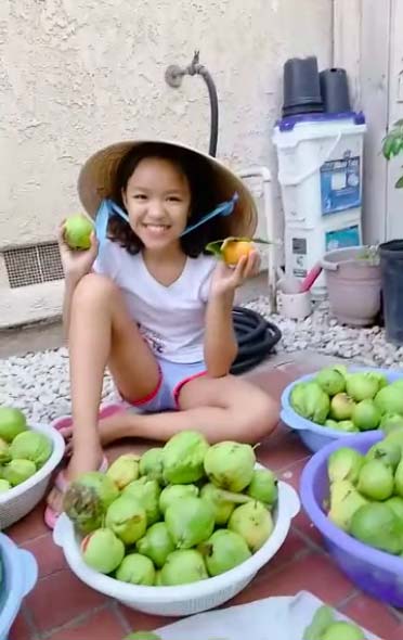 Việt Hương tuyên bố đến tận nhà anti fan vì bình luận khiếm nhã, miệt thị con gái - 1