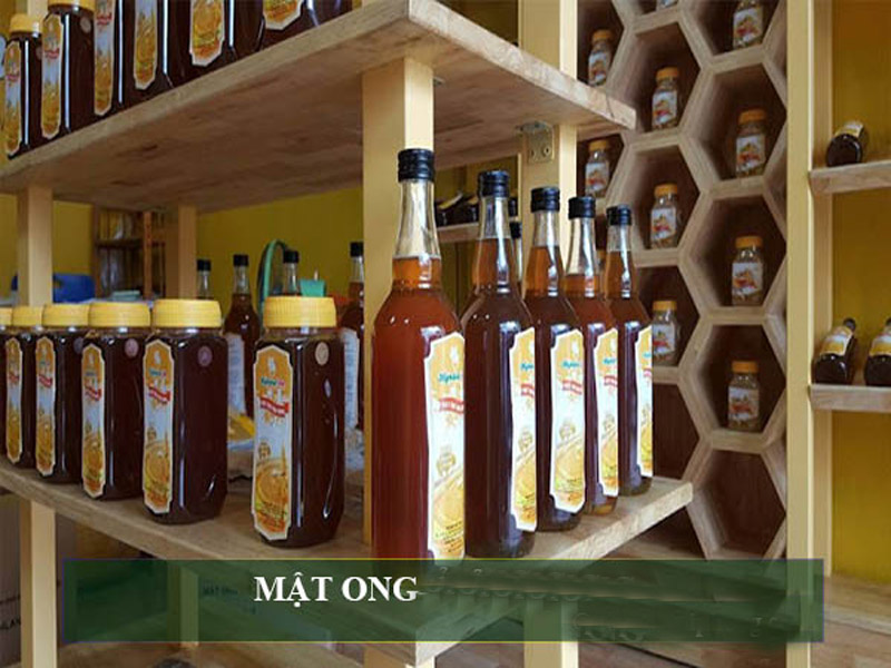 Top 5 cửa hàng mật ong chất lượng rõ nguồn gốc tại Hải Phòng